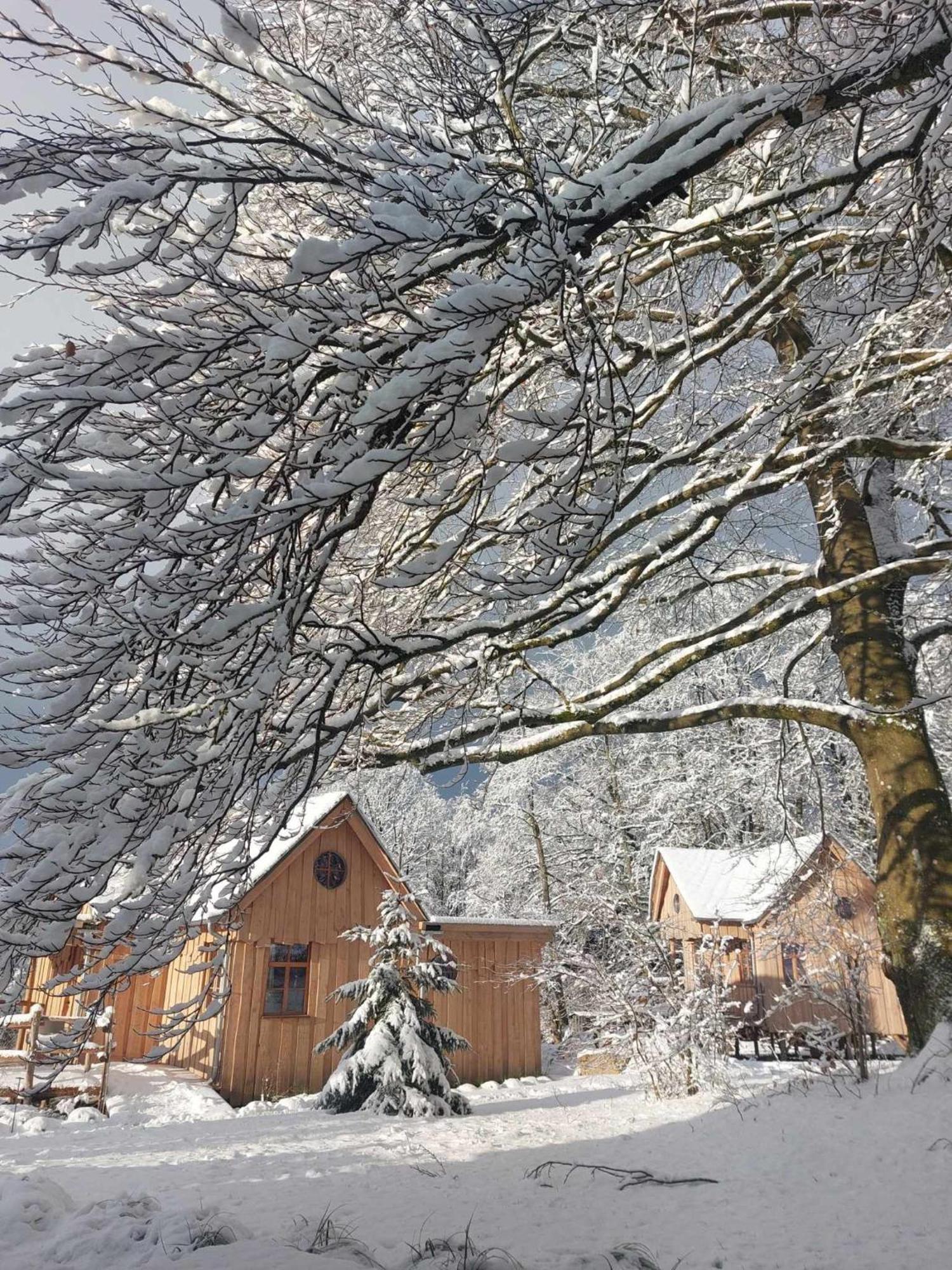 Au Coq Et Fa Gnes Chalet